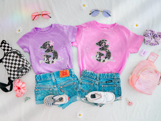 BTS Composition- Youth