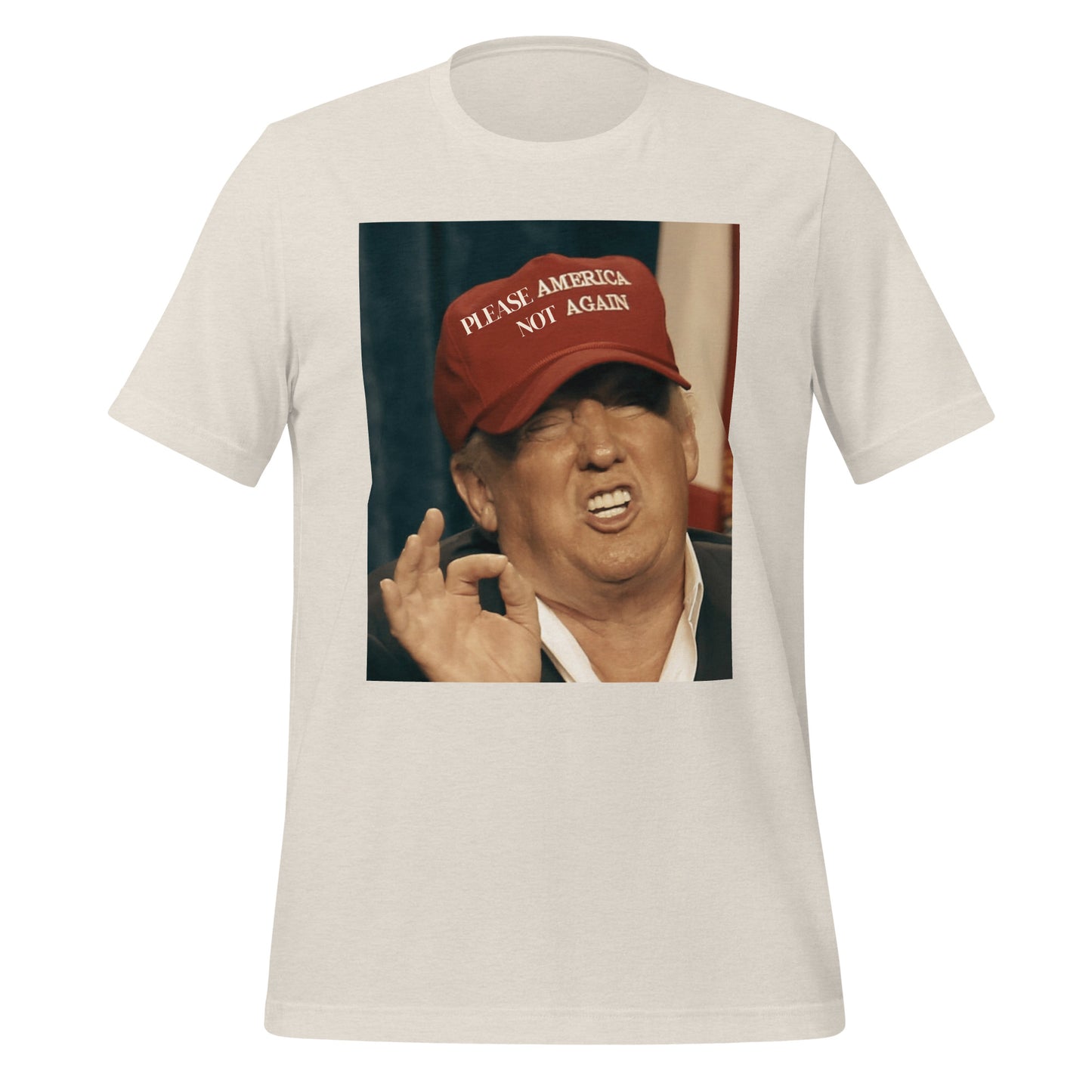 Please America Not Again *SweetPea & Sage Exclusive Design* Unisex t-shirt